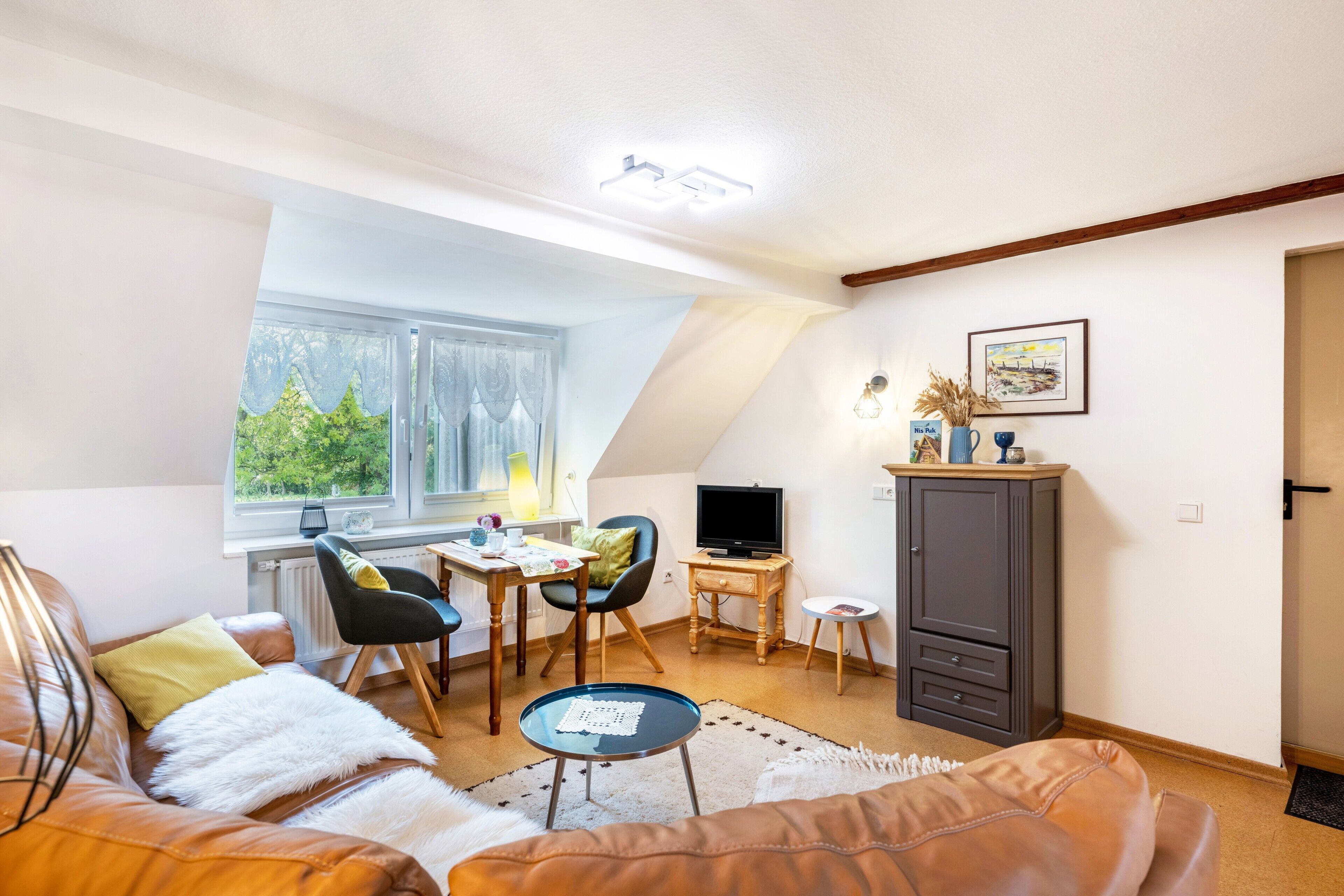 TV, tavolo da ping pong