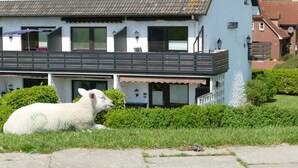 Een huis met twee verdiepingen, een balkon, een kleine tuin en een schaap op de voorgrond.