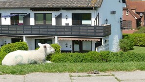Property grounds - Apartment 'Haus Lith Deichblick' with Sea View, Private Terrace and Wi-Fi (Nordstrand)