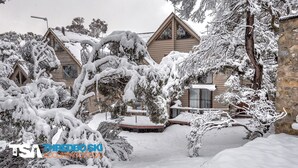 Un refugio cubierto de nieve con varias cabañas, un muro de piedra y árboles cargados de nieve.