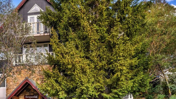 Un edificio con fachada de piedra, una puerta roja y un letrero que dice "Sequoia".