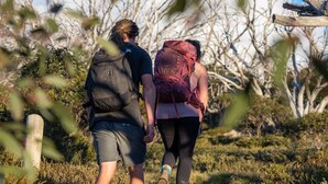 Two people hiking with backpacks in a natural setting. - Alpine Mountain View 40 (Jindabyne)