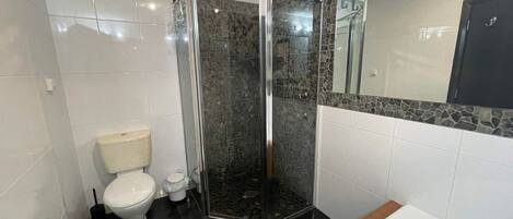 A modern bathroom with a glass-enclosed shower, a toilet, and a bathtub.