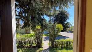 A view through a doorway to a residential street with a sidewalk, trees, and a small building.
