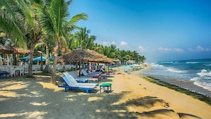 Une plage avec des chaises longues et des parasols, des palmiers et une vue dégagée sur l’océan.