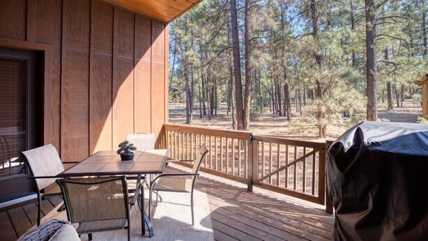A covered deck with a table and chairs, overlooking a forested area.