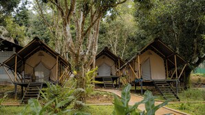 A row of simple, single-story cabins with a basic design, surrounded by dense greenery and trees. - iRETREAT Jungle Bliss Pa Pae (Mae Taeng)