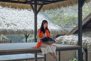 Terras