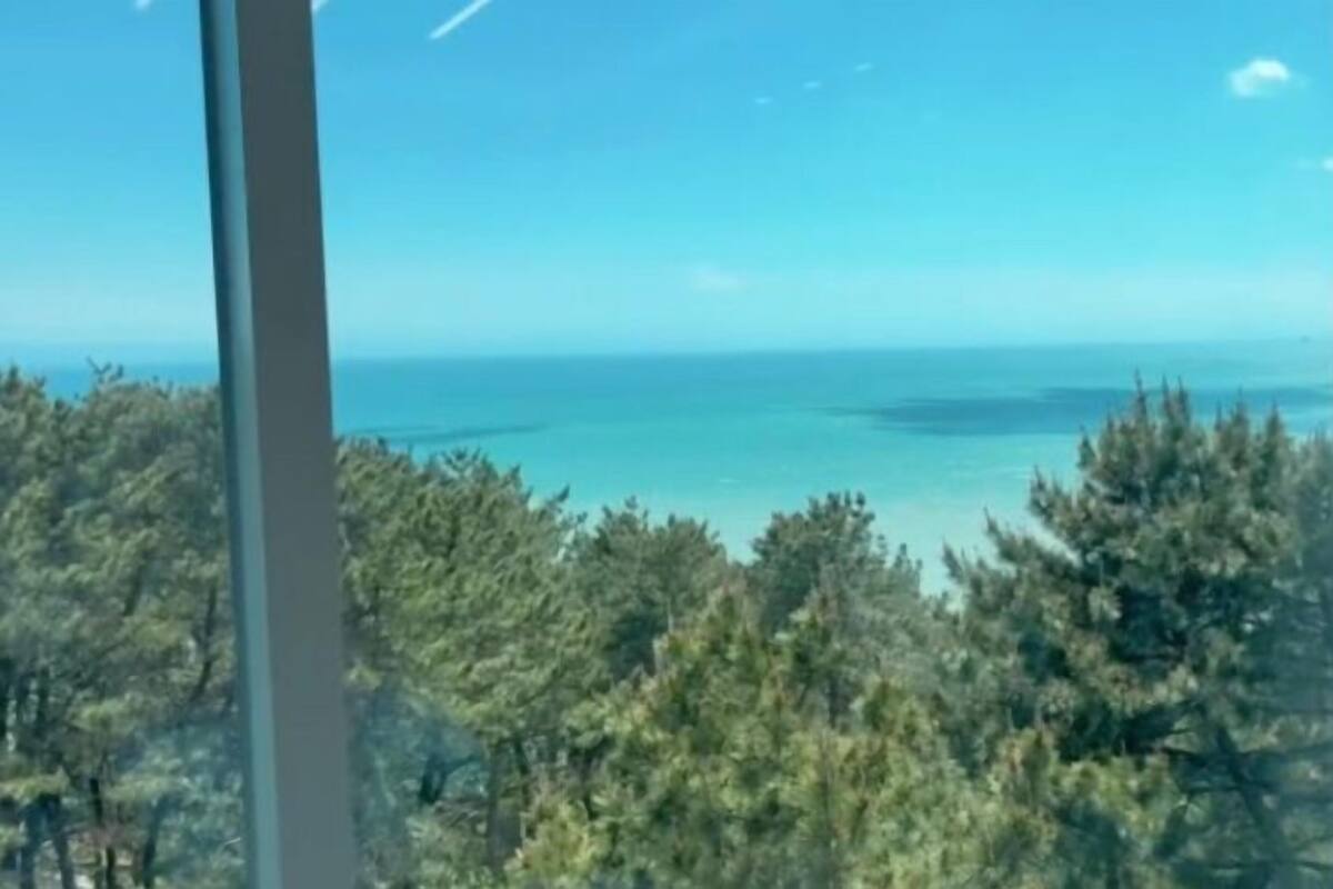 A view through a window with a clear sky, a body of water, and dense greenery.