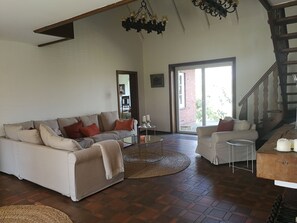 TV connectée, cheminée, livres