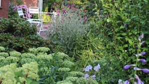 A garden with various plants and flowers, a white chair, and a brick building with a thatched roof. - Right on the water: large thatched-roof house for 8 people, fireplace and garden (Breiholz)