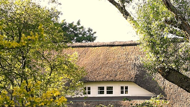 A house with a thatched roof, surrounded by a well-maintained garden with a lawn and a small table and chairs. - Right on the water: large thatched-roof house for 8 people, fireplace and garden (Breiholz)