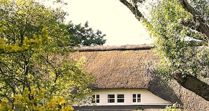 Direkt am Wasser: GroĂes Reetdachhaus mit Kamin, Badesteg und groĂem Garten