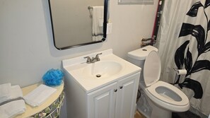 Regadera, secadora de cabello, toallas, jabón 