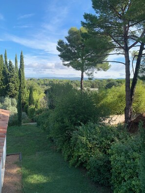 Property grounds - A 5-minute drive from the center of Aix-en-Provence, in a natural setting! (Aix-en-Provence)