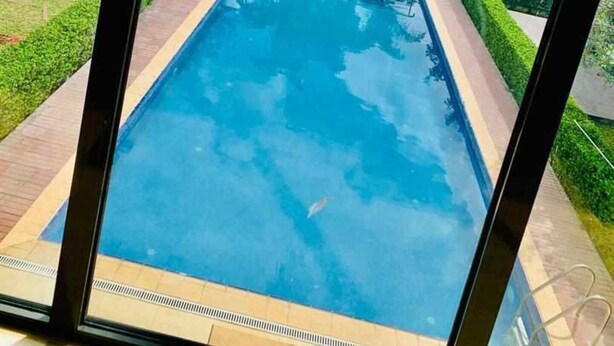 Une piscine rectangulaire à l’eau d’un bleu limpide, entourée d’une terrasse dallée.