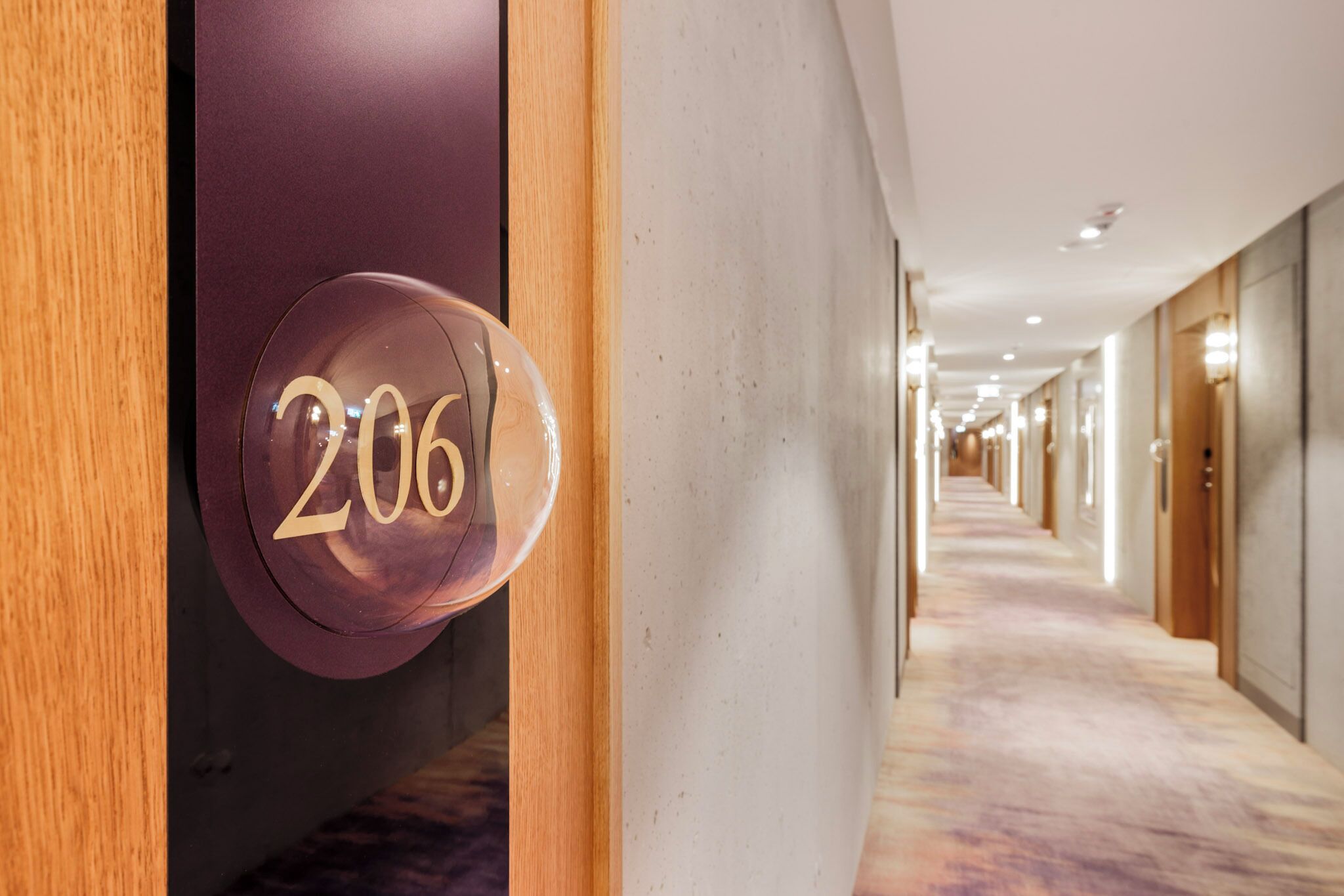 A hallway with a number sign indicating room 206.