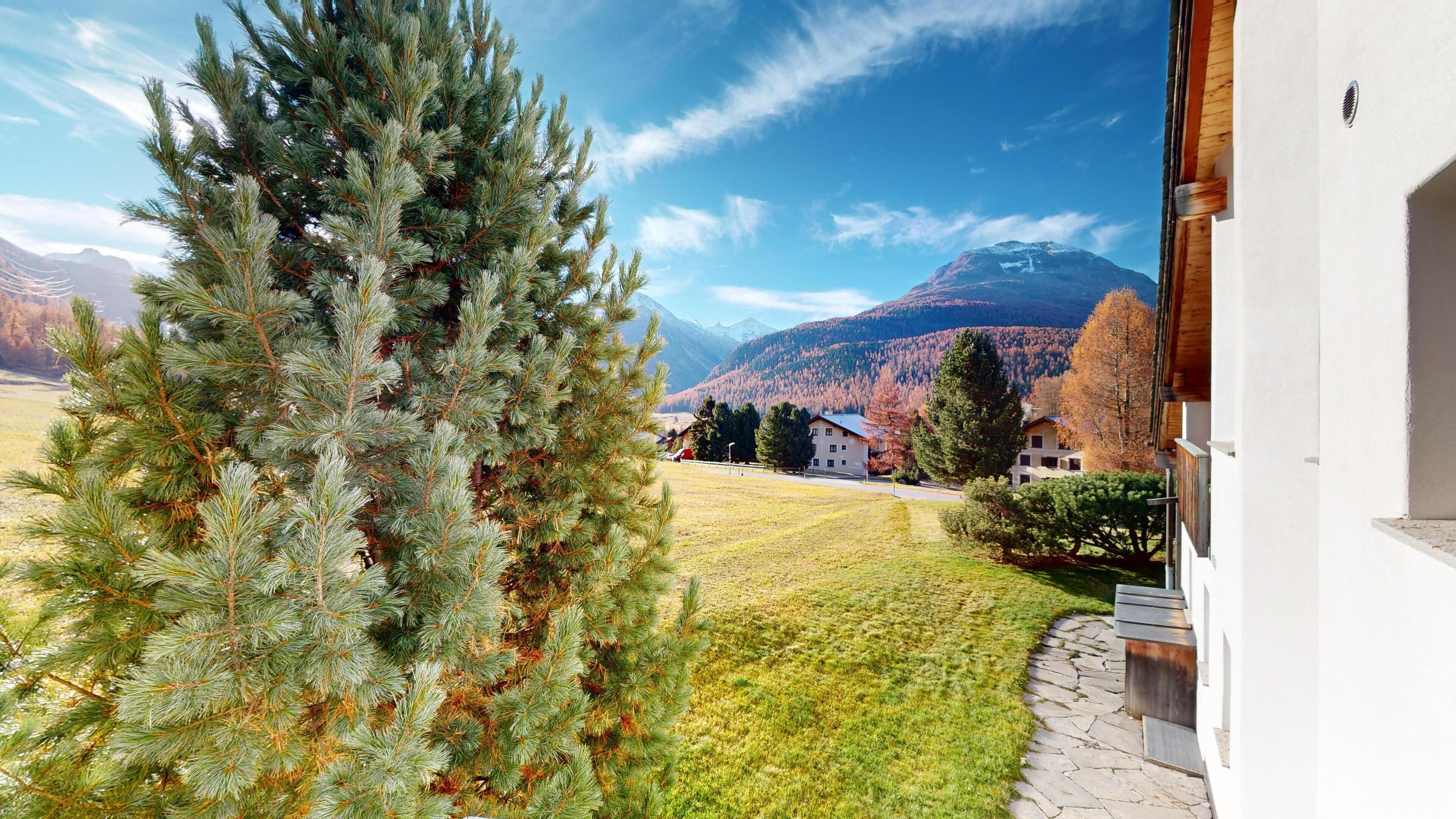 A view of a mountain landscape with a large evergreen tree in the foreground and a building with a stone pathway to the right.