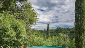 Ein Schwimmbecken, umgeben von üppiger Vegetation, mit Blick auf eine hügelige Landschaft.