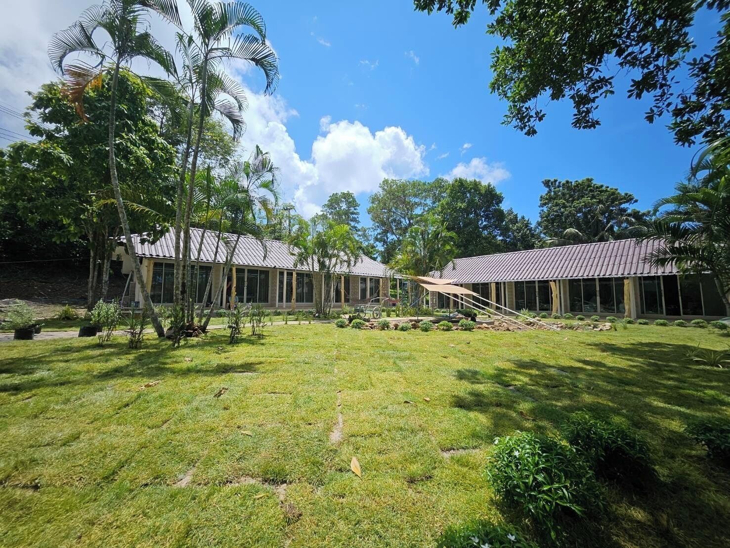 A courtyard with two buildings, a covered seating area, and a variety of trees.