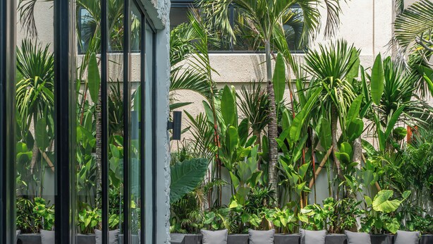 A poolside area with a wooden deck, a seating area with cushions, and lush tropical plants. - Villa Amanora (Canggu)
