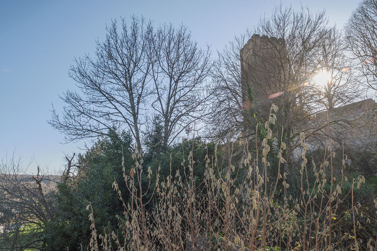A landscape with trees and a stone structure.