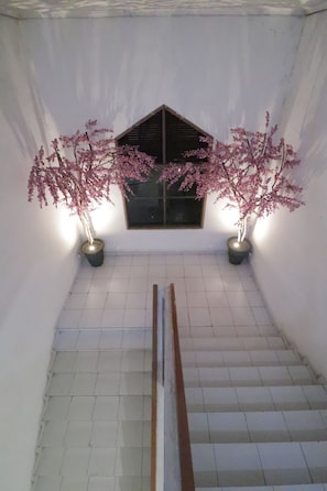 Escadaria