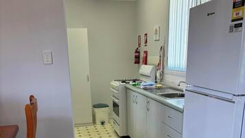 A kitchen with a gas stove, a sink, a refrigerator, and a trash bin.