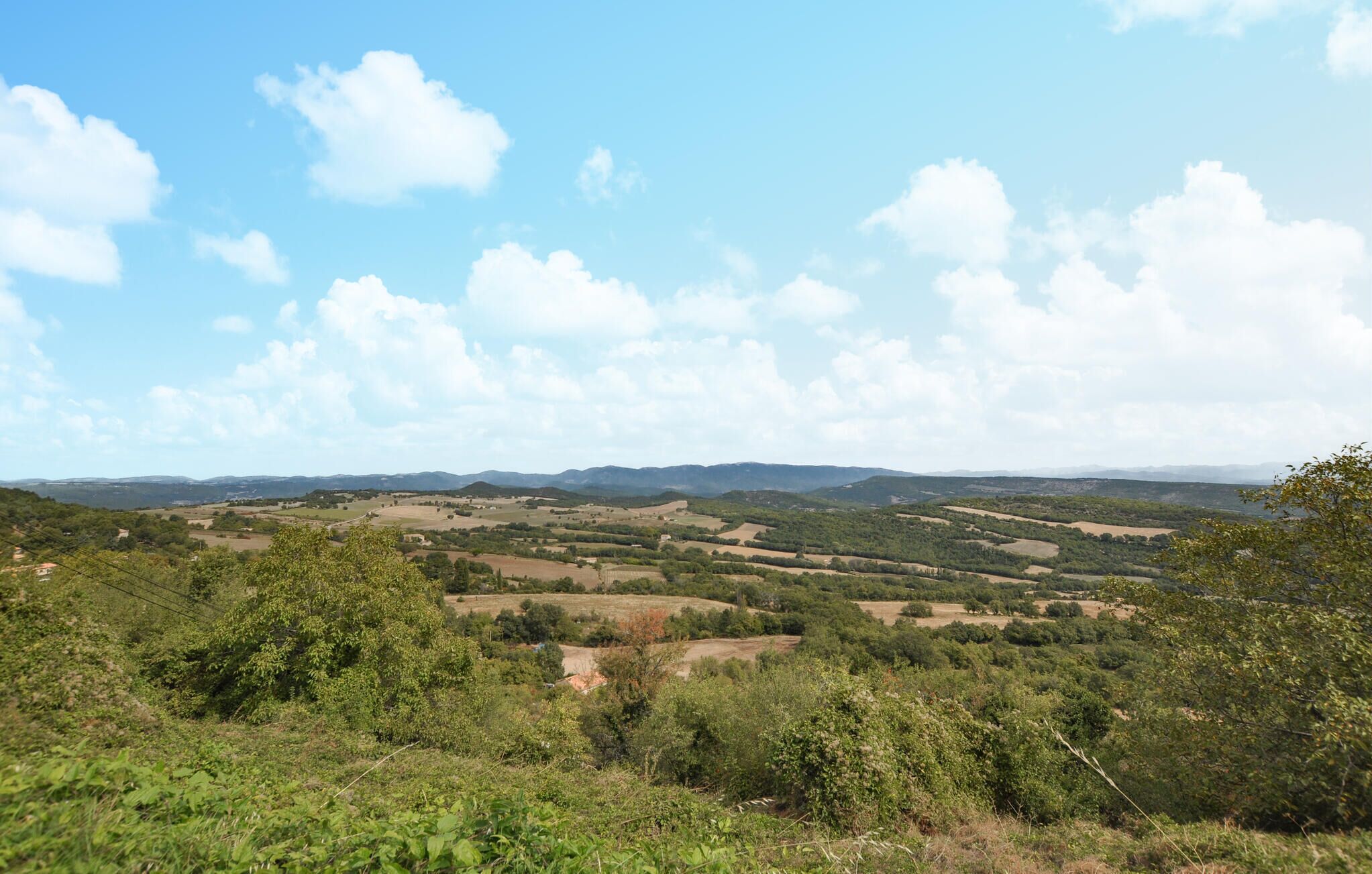 Un paysage rural caractérisé par des collines douces et des arbres dispersés.
