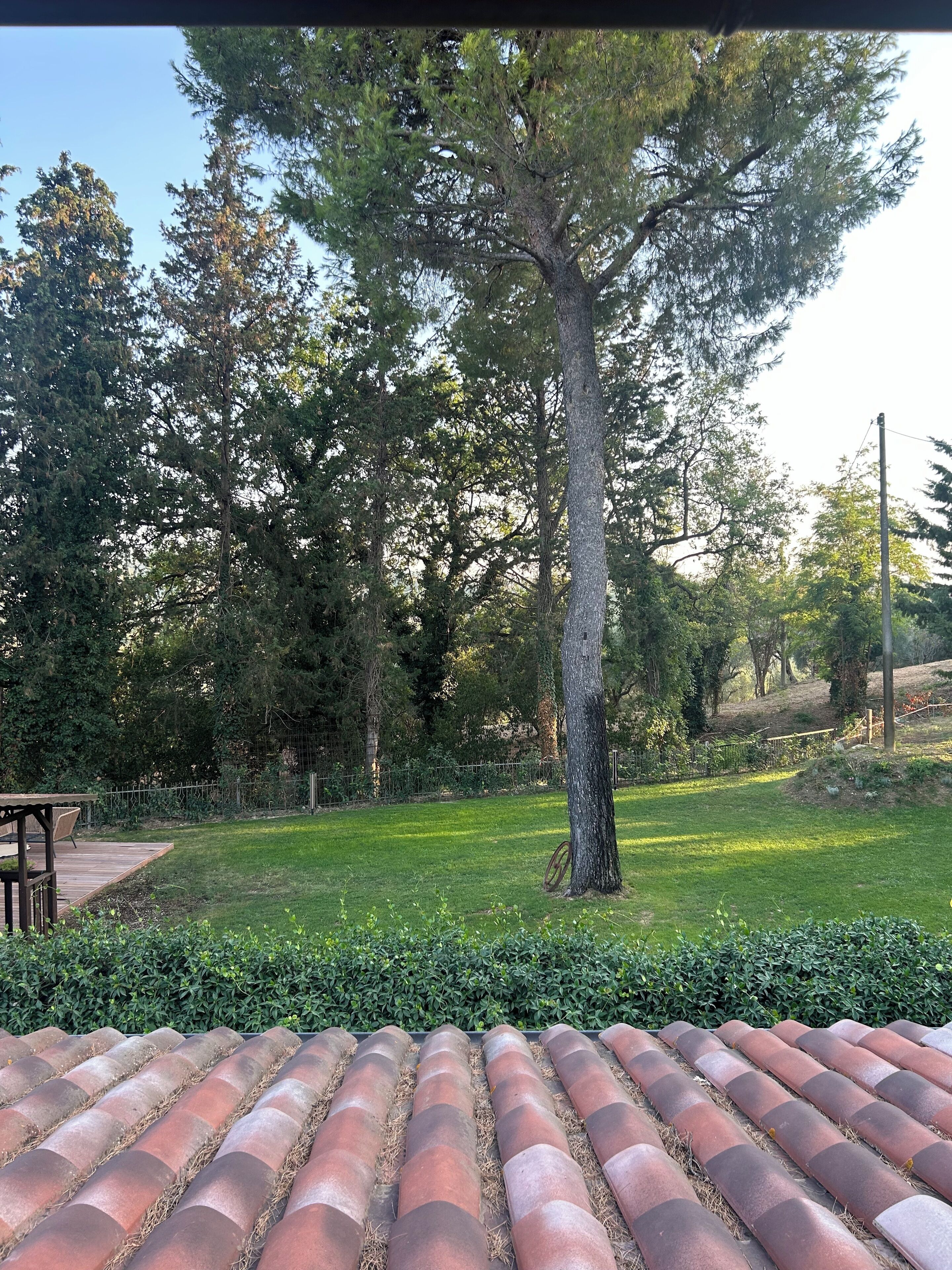 Un patio con techo de baldosas, terraza de madera y césped con árboles.