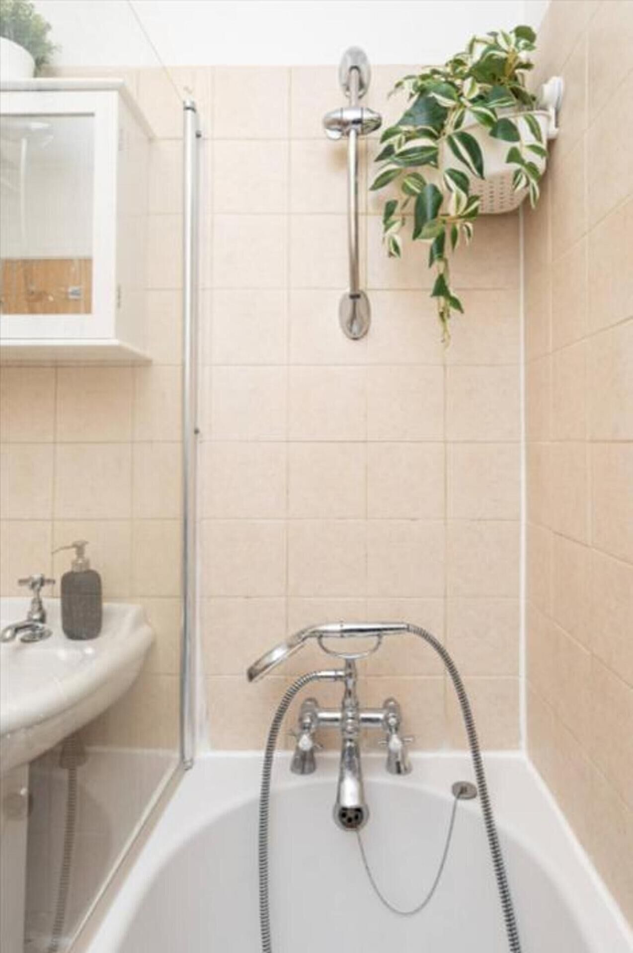 Een badkamer met een douche, een wastafel en een plant.