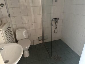 アパートメント | バスルーム | シャワー、タオル