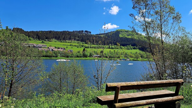 A wooden bench by a lake with a view of a green hillside and buildings in the background. - VINEU - Bed n Breakfast (Winterberg)
