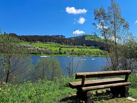 Eine hölzerne Bank an einem See mit Blick auf einen grünen Hügel und Gebäude im Hintergrund.