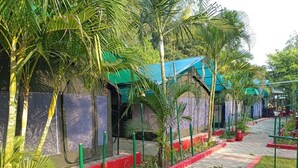 A pathway lined with palm trees and a building with a green roof. - SandPebbles Bhitarkanika Jungle Resorts (Rajnagar)