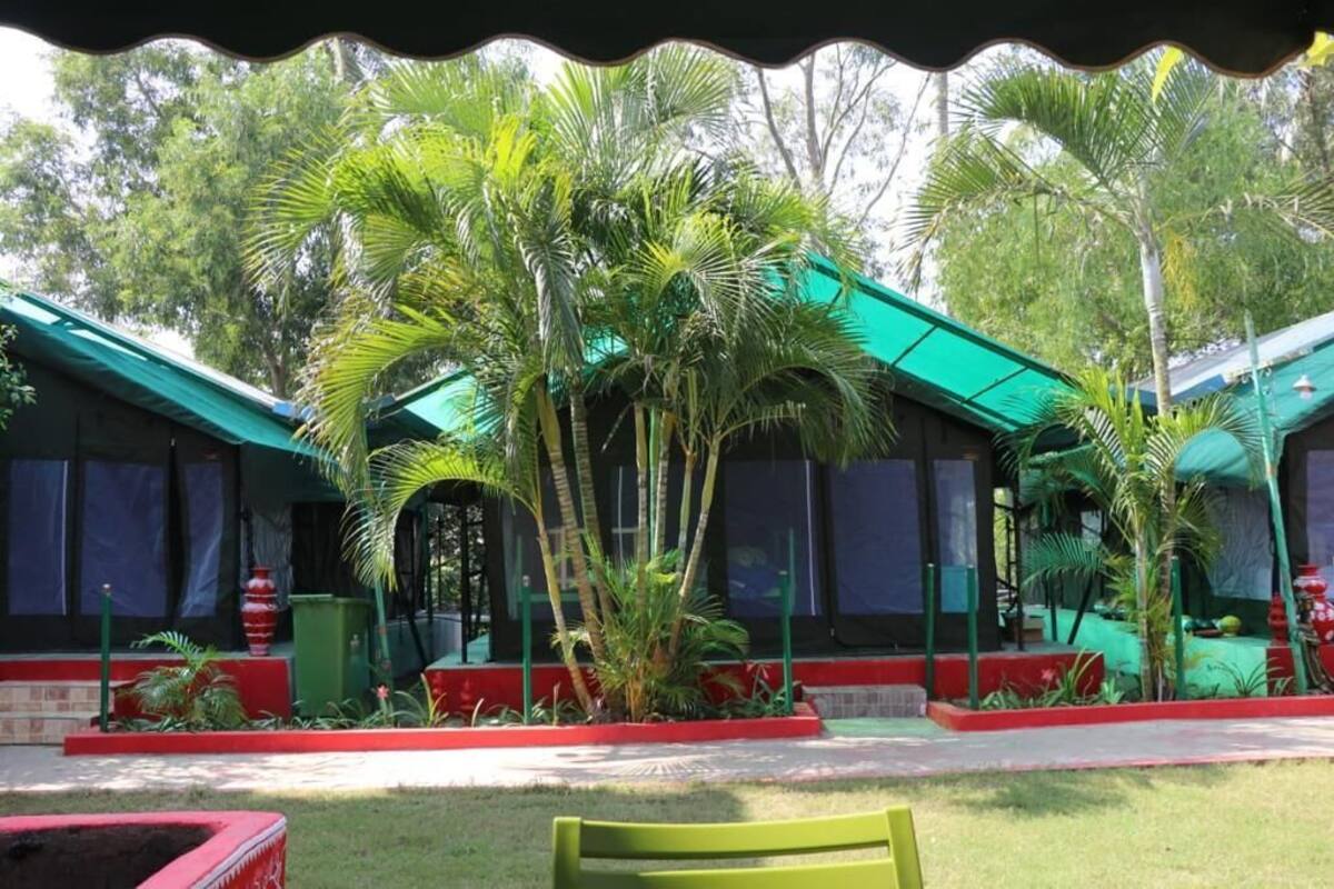 A building with a green roof and multiple windows, surrounded by palm trees and a well-maintained garden.