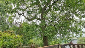 A sectional sofa with a wooden table and two black wireframe chairs in an outdoor patio area with a view of trees and a wooden deck. - Garden view apartment with pool and children's playground (Dippoldiswalde)
