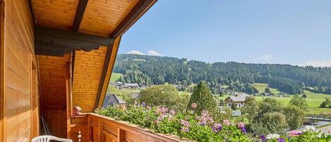 Classic Apartment, Balcony, Mountain View | Balcony