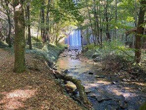 Un área boscosa con un arroyo y una cascada.