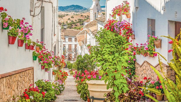 Une rue étroite bordée de bâtiments blancs, de pots de fleurs et, au loin, d’une église.