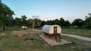 Eksteriør