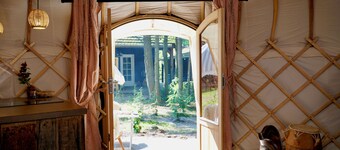 Magical Yurt 'Stella' - bij de Boswachter