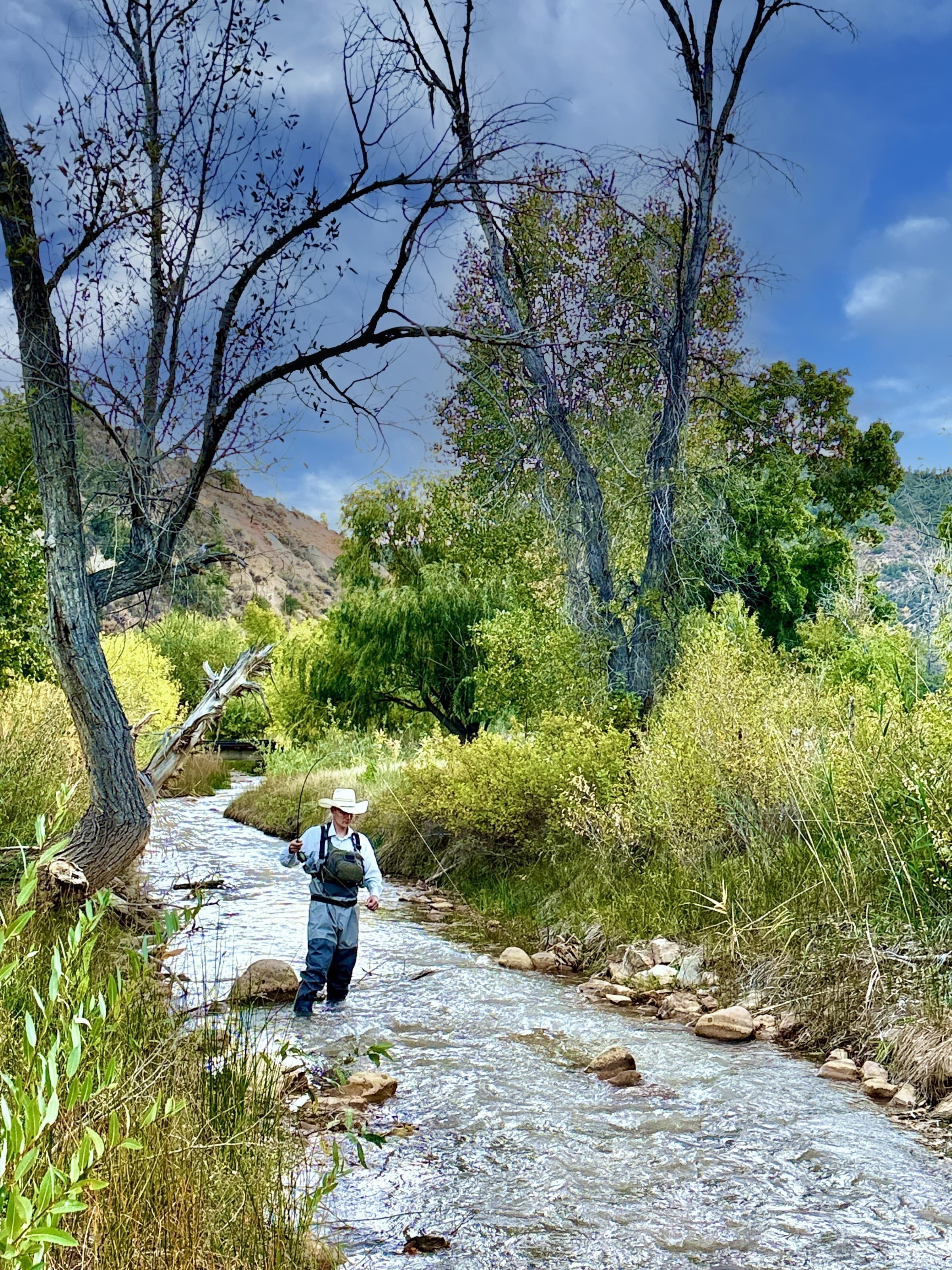 A person wading through a shallow stream in a natural setting with trees and hills in the background.