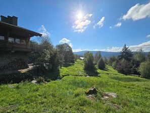 المنطقة المحيطة بالمنشأة