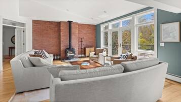 TV, fireplace, books