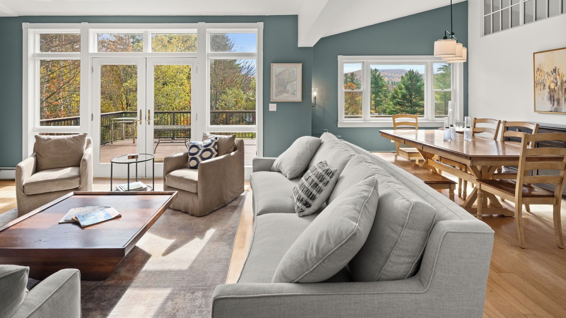 Télévision, cheminée, livres