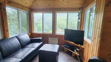 Télévision, cheminée