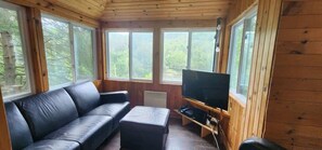 Una televisión, una chimenea