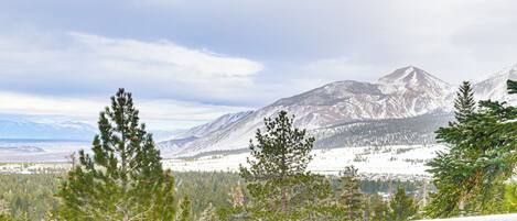 Apartment (2 Bedrooms) | Front of property