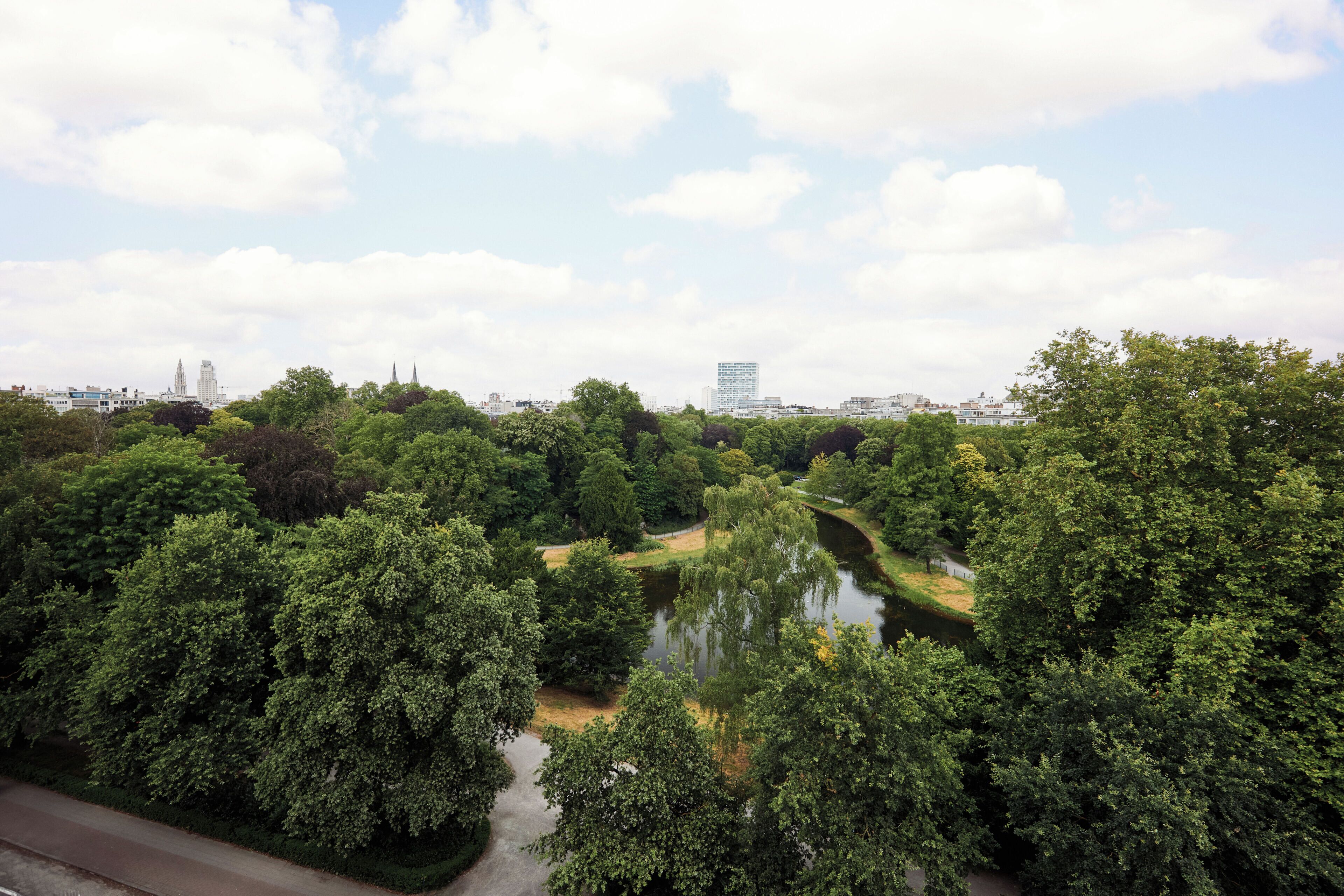 Un río serpentea por un parque con árboles frondosos y un paisaje urbano al fondo.